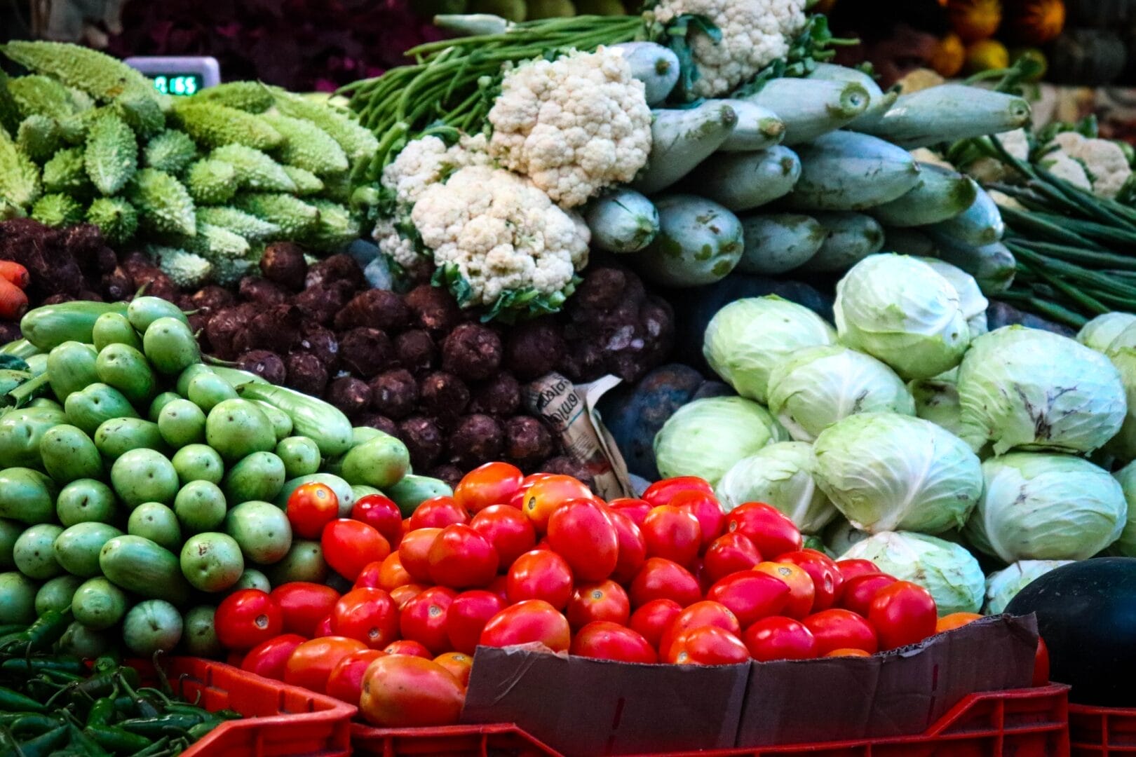 Client receiving personalized nutrition coaching in Plainfield